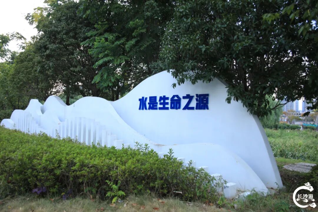 DƬ